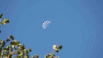 Veja simpatias e como blindar suas vibrações