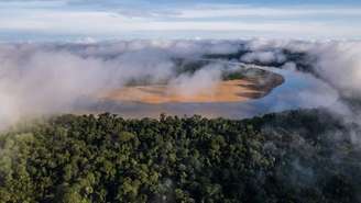 Vista aérea da nova Área de Conservação Regional do Médio Putumayo Algodón, perto da fronteira do Peru com a Colômbia. Há todos os motivos para acreditar que a rodovia Bellavista-El Estrecho, que cruzará a região, terá impactos devastadores nas áreas naturais protegidas e nas comunidades indígenas que estão em seu caminho.