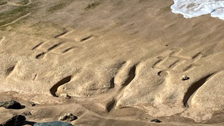 Desenhos rupestres reaparecem em praia do Havaí após maré baixa