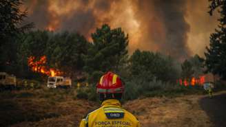 Incêndio em Paredes, Vila Real, Portugal. 12 de Agosto de 2025.
