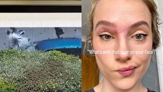 Modelo sofreu acidente após pombo colidir com seu capacete