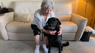 Deficiente visual recupera parte da visão após cirurgia de implante dentário na córnea