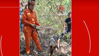 Mulher é encontrada morta e enterrada em 'curral' no Distrito Federal; corpo foi localizado por cães farejadores