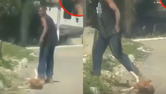 Imagens de homem puxando cachorro pela rua em Itaboraí