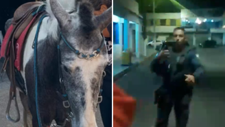 Vídeo: PM mata cavalo 'famoso', dono é preso e revolta moradores no Espirito Santo / Reprodução