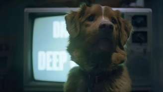 Cachorro do terror ‘Bom Menino’ quer reconhecimento para animais no Oscar (Divulgação/Shudder)