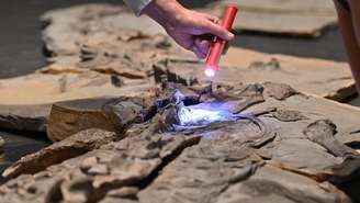 Foto mostra parte do fóssil de um crocodilo marinho do período Jurássico, com cinco metros de comprimento e cerca de 180 milhões de anos, descoberto no departamento de Hérault após escavações realizadas entre 2017 e 2020. A imagem foi registrada no Museu de Lodève, em 10 de outubro de 2025.