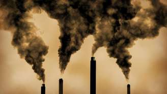 A elevação da temperatura média global provoca o deslocamento de espécies, inclusive aquelas essenciais para o equilíbrio dos ecossistemas – depositphotos.com / jjayo