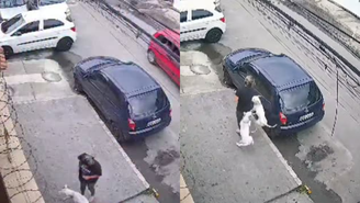 Mulher é atacada por dois cachorros da raça pitbull na Zona Oeste do Rio de Janeiro