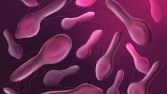 O calor intenso destrói a toxina botulínica, mas a bactéria pode sobreviver e voltar a produzir toxinas caso o alimento seja estocado sem os cuidados adequados – depositphotos.com / Artemida-psy