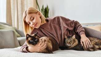 Ambiente estável, rotina previsível e carinho: a receita para reduzir o estresse felino em casa – depositphotos.com / HayDmitriy