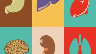 Com milhares de pessoas aguardando por um transplante, o xenotransplante surge como uma alternativa real. Porém, os desafios relacionados à rejeição e biossegurança ainda precisam ser superados – depositphotos.com / ClassyCatStudio