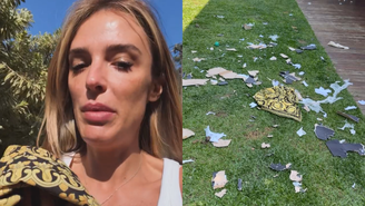 Rafa Brites mostra vestido de grife destruído pelos cachorros