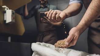 Embora não ofereça o efeito estimulante do café, a cevada traz aroma tostado, sabor suave e traços de fibras e minerais, funcionando como substituto funcional – depositphotos.com / ArturVerkhovetskiy