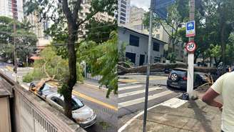 Fortes ventanias provocaram estragos no Brasil nas últimas semanas