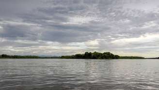 Esses animais não são nativos do país, mas passaram a fazer parte da paisagem de algumas regiões, em especial no entorno do Rio Magdalena – depositphotos.com / izanbar