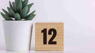 Conheça mais sobre as oportunidades vindas deste portal