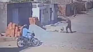 Policial atira em pitbull para salvar poodle no Ceará