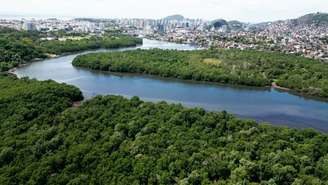 Vitória tem a maior extensão de manguezais do Espírito Santo. Projetos comunitários preservam o ecossistema único.