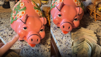 Norte-americana encontra mais de R$ 10 mil em cofrinho de brechó