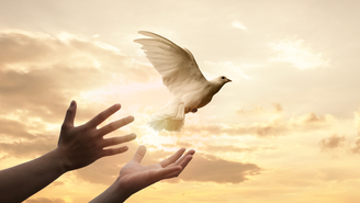 Veja 3 orações poderosas para 2026