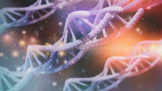 A Síndrome de Lynch, que também tem o nome de câncer colorretal hereditário não poliposo, ocorre por mutações em genes de reparo do DNA, como MLH1, MSH2, MSH6, PMS2 e EPCAM – depositphotos.com / lucifer.lucifer.metal@gmail.com