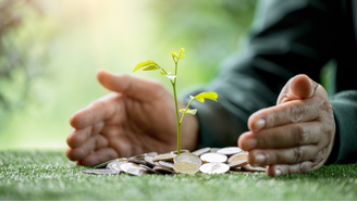 Aprenda uma simpatia com moeda para ter prosperidade em 2026