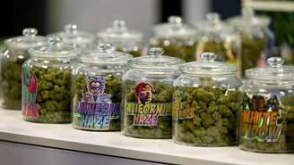 Fotografia ilustrativa mostra produtos de CBD, destinados ao consumo na França e em diversas outras nações, como os Estados Unidos.