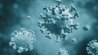 No início desta semana, a OMS emitiu um alerta após o aumento de internações relacionadas à gripe K na Europa e na Ásia