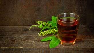 Chá de manjericão: conheça os benefícios da bebida milenar que ajuda a relaxar, fortalecer a imunidade, melhorar a digestão e cuidar da saúde