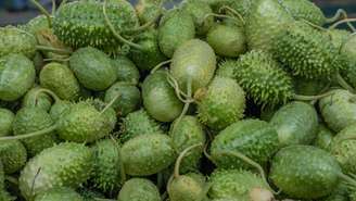 Pouco consumido no Brasil, o maxixe é nutritivo e funciona; saiba como ele auxilia na prisão de ventre, saúde óssea e muito mais