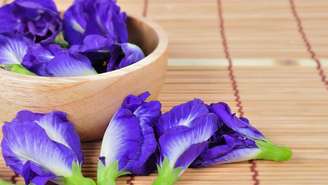 Fácil de cultivar e altamente ornamental, a trepadeira ganhou espaço em hortas, paisagismo e na gastronomia em 2025 – depositphotos.com / gukguithammasorn.gmail.com