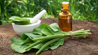 Suas propriedades expectorantes ajudam a aliviar tosse, secreções e irritações da garganta – depositphotos.com / ChamilleWhite