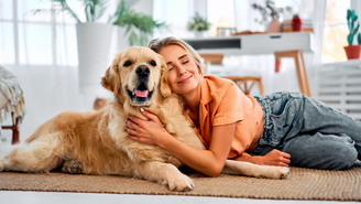 Os fogos de artifício, comuns durante as festas de fim de ano, podem provocar ansiedade, estresse e outros sintomas físicos em animais
