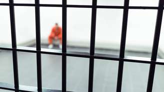 Com 68 anos de reclusão contínua (1911-1980), sua trajetória é o exemplo mais longo de encarceramento da história – depositphotos.com / ArturVerkhovetskiy