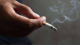 Cientistas identificaram proteína que regula como associamos estímulos ao prazer, influenciando a formação de hábitos e vícios