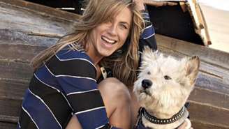 Jennifer Aniston, além de ser uma atriz excelente, é também tutora de vários cachorros adotados, Clyde, Lord Chesterfield e Sophie