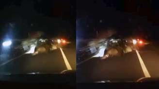 Acidente na BR-101 matou quatro pessoas da mesma família