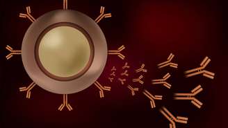 Trata-se de um anticorpo biespecífico, desenvolvido para atingir ao mesmo tempo duas proteínas envolvidas no crescimento dos tumores: o EGFR e o LGR5 – depositphotos.com / exty