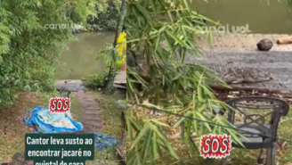 Susto! Cantor se apavora ao encontrar jacaré no quintal de casa: 'Maior medo' / Reprodução: Instagram