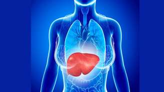 Veja como manter a saúde do fígado em dia