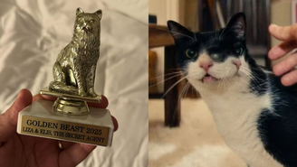 Gata que participou do filme 'O Agente Secreto' ganha prêmio 'Golden Beast' em Hollywood