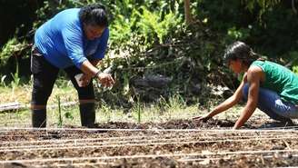 O guia é direcionado a gestores da administração pública, profissionais da área técnica, organizações da sociedade civil e à população em geral