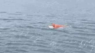 Segundo as equipes de socorro, o homem apresentava estado de consciência estável no momento do desembarque