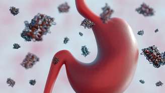 colecistoquinina – depositphotos.com / ariteguhas@gmail.com