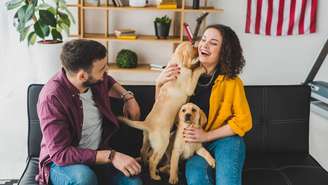 A capacidade de captar palavras em segundo plano aproxima a cognição canina de processos observados em crianças e reforça a complexidade da relação entre cães e humanos – depositphotos.com / VitalikRadko