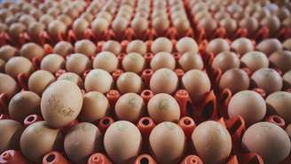 Os ovos sumiram nas últimas semanas nos supermercados franceses.