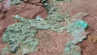 Em um estudo, detectaram as chamadas rochas plásticas e observaram que os ninhos da tartaruga