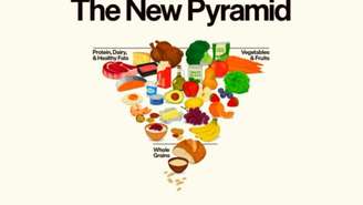 Diferente do modelo anterior e do formato "MyPlate", a configuração atual posiciona carnes, laticínios integrais e vegetais em patamares de maior relevância