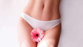 Conheça a ninfoplastia, cirurgia íntima feminina